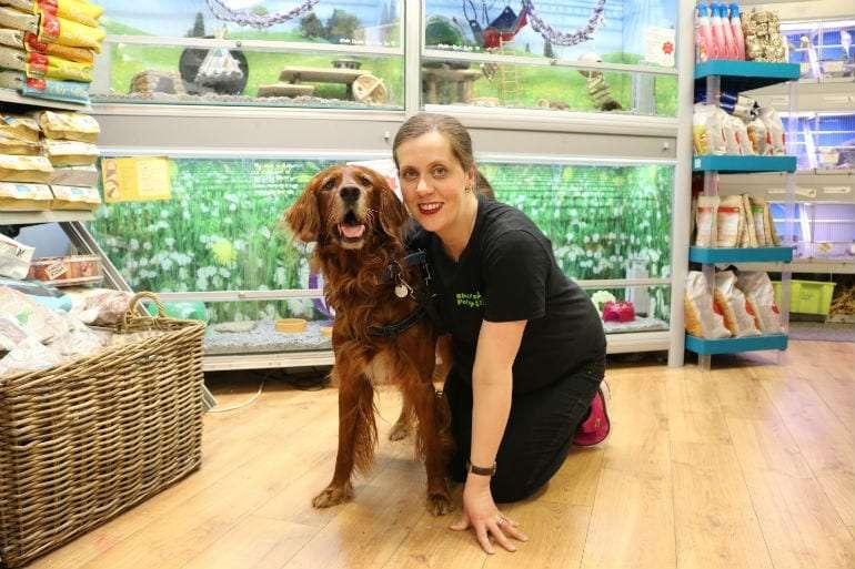 Shauna s Pet Store Dublin Town