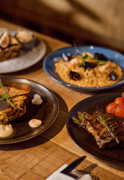 Assortment of gourmet dinner dishes on a wooden table, including grilled meat with cherry tomatoes, creamy risotto with mushrooms, and a savory sandwich with sauce garnish.